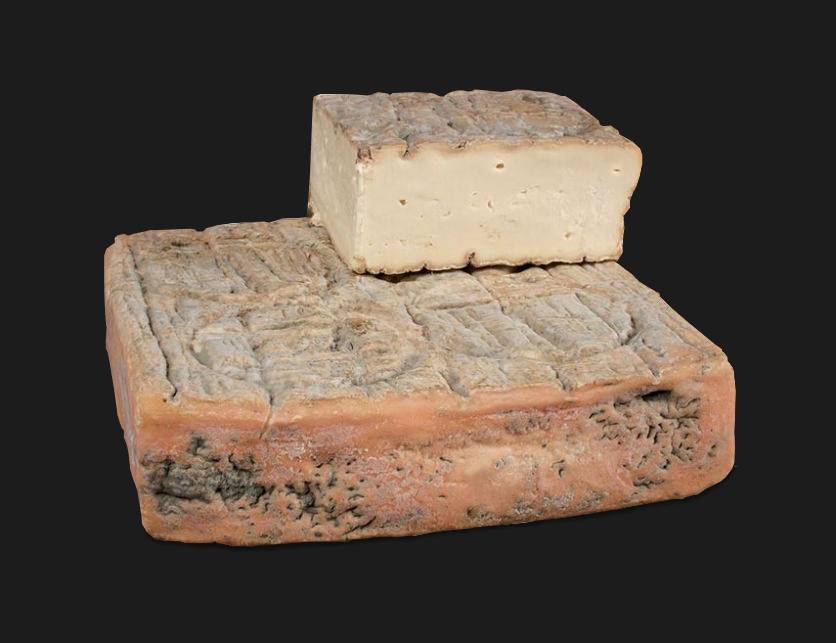 taleggio PDO cheese Ivitaly.com